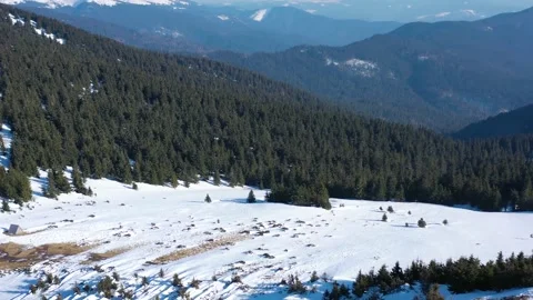 Aero shooting of mountains in winter. Mount Petros. Ukrainian Carpathian Moun Video stock 147389042