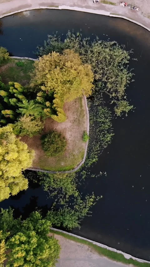 Aero, top view. green trees, walking paths and a lake in the middle of a city Stock Footage 318724641