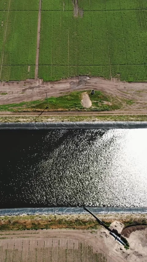 Aero. top view. man-made special, water storage pool, tank or reservoir for Stock-Footage 313983878