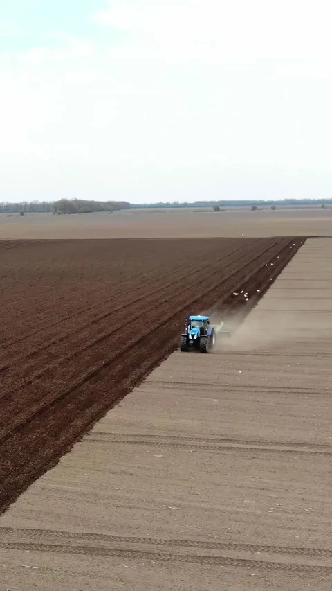 Aero. Tractor with special trailer plows land, soil, makes on soil field furrows Stock-Footage 316136593
