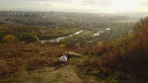 Aero view, beautiful bride and groom together. wedding Video stock 123898533