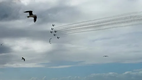 Aerobatic Propeller Planes Flying in Formation with Smoke Trails Video stock 345695387