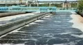 Aerobic digestion. Bacterial process occurring in the presence of oxygen HD Footage
