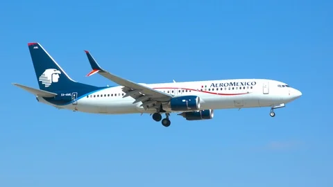 Aeromexico Boeing 737 Landing in Miami Stock Footage