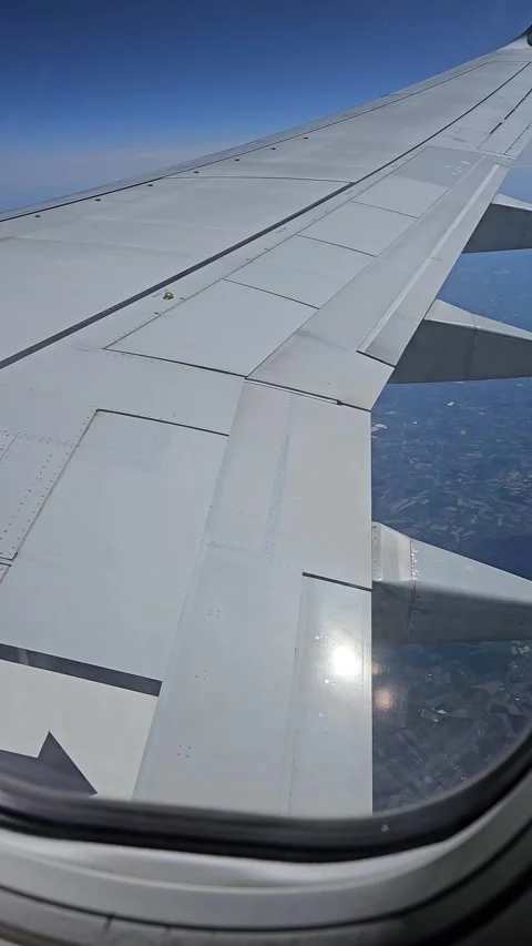 Aeroplane flying above patchwork of cultivated fields, view from window porthole Video stock 312598944
