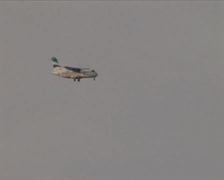 Aeroplane over sandhills Video stock 10610345