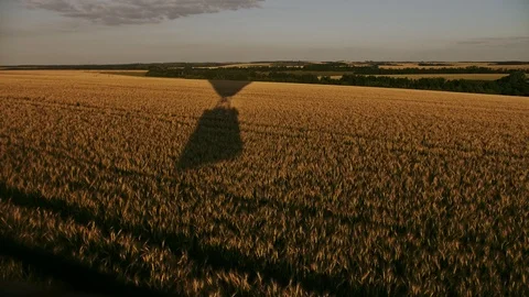 Aerostat take down at wheat field at sunset time Stock Footage 110931007