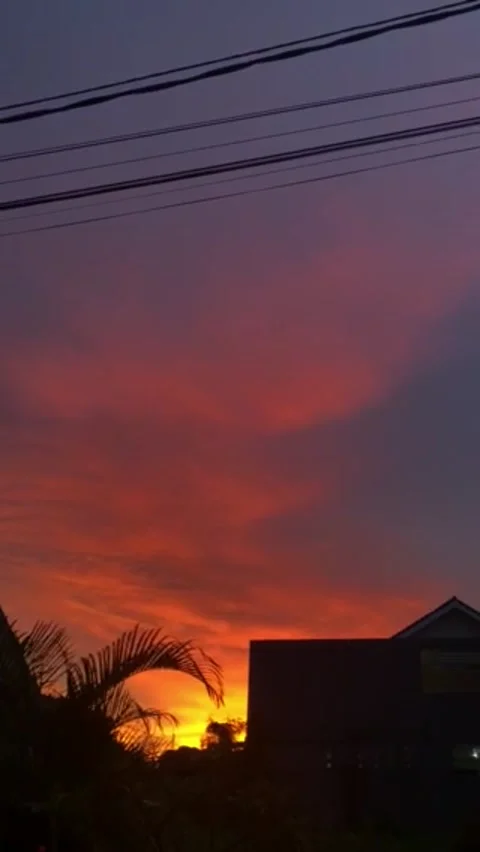 Aestetic Sunset from backyard Video stock 232599528