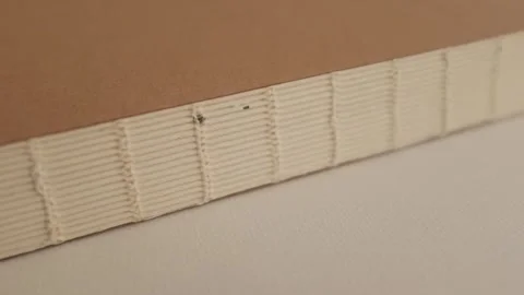 Aesthetic closeup slow motion video of an old book binding.  Stock Footage 325345393