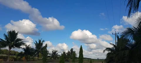 Aesthetic clouds 動画素材 244795670