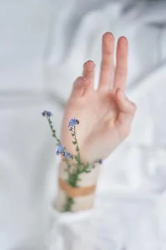 Aesthetic concept: hands, patch and forget me not flower Stock Photos