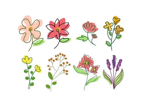 Aesthetic flower set design Illustrazione stock