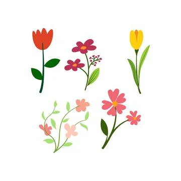 Aesthetic flower set design Stock Illustration