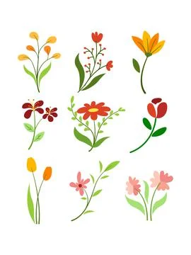 Aesthetic flower set design Stock Illustration