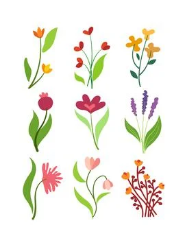 Aesthetic flower set design Stock Illustration
