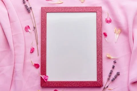 Aesthetic pink empty interior pink wall layout, lavender and petals flat lay Stock Photos