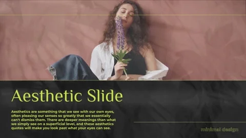 Aesthetic Slides for After Effects After Effects stock