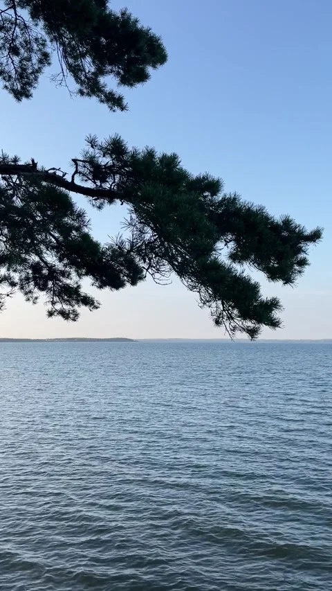 Aesthetic Static Shot of overlooking a serene empty lake and blue sky Stock Footage 313733646