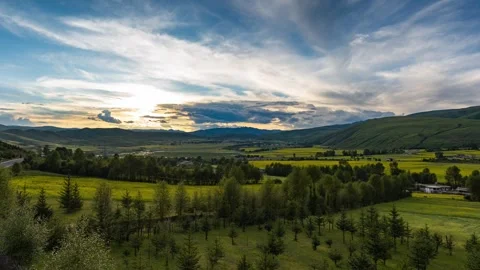 Aesthetic sunset forest rape flower time-lapse Video stock 337980846