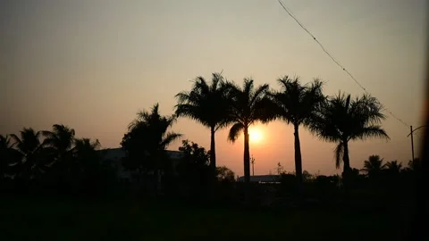 Aesthetic sunset lights and tree shadows Stock Footage 162665327