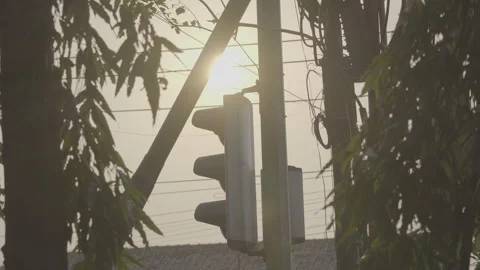 Aesthetic Traffic Light With Backlit Evening Sunlight 10bit slog3 Stock Footage 346013747