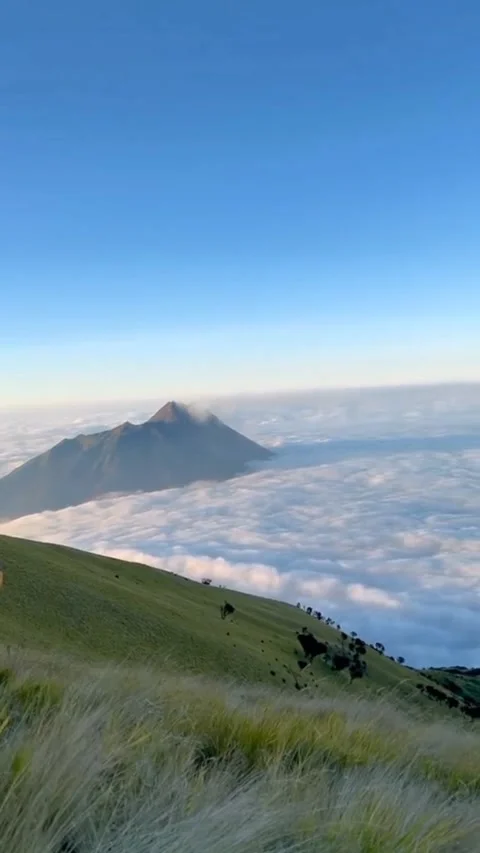 Aesthetic View Stock Footage 237118422