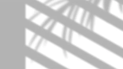 Aesthetic window blind shadow with tropical palm leaf overlay on white wall.. Stock Illustration