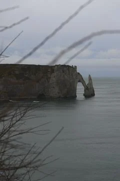 The aesthetics of chalk cliffs in Etretat through the prism of shrubs Stock Photos