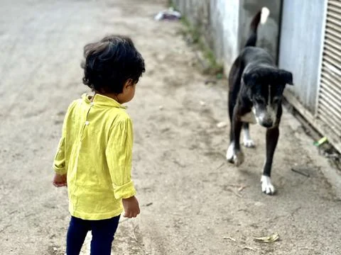 Affection for animals Stock Photos