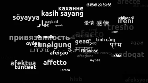 Affection Translated in 62 Worldwide Languages Endless Looping 3d Zooming Wor Stock Footage 145200787