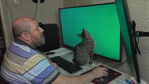 Affectionate Cat Distracting Middle-Aged Man at Office Stock Footage 336542088