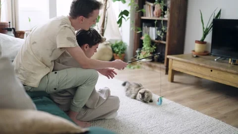 Affectionate gay couple playing with a cat in a living room Stock Footage 330887169