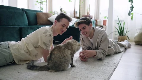 Affectionate gay couple playing with their cat at home Stock Footage 330887281