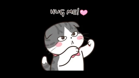 Affectionate Grey Cat Animation with Transparent Background Stock Footage 282783560