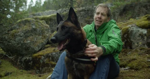 Affectionate man stroking a rescue dog in forest Stock Footage 86248392