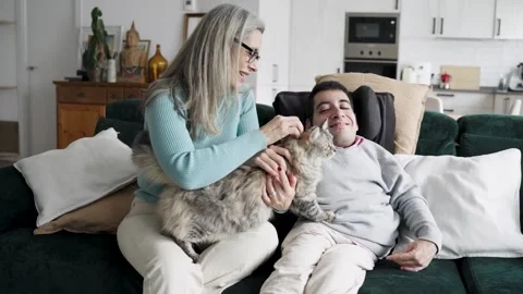 Affectionate mother and son with pet cat relaxing at home Stock Footage 335602558