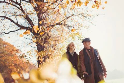 Affectionate senior couple holding hands walking in sunny autumn park Stock Photos