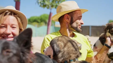 Affectionate smiling man cuddling with happy and funny dogs outdoors Stock Footage 320923438
