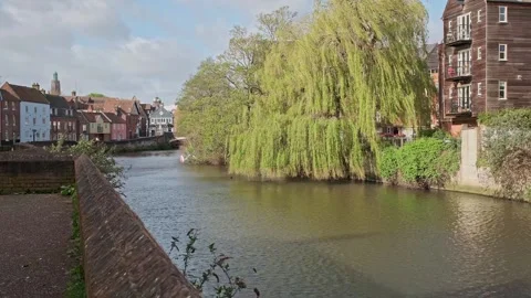 The affluent Anchor Quay alongside the River Wensum, Norwich Video stock 271295210