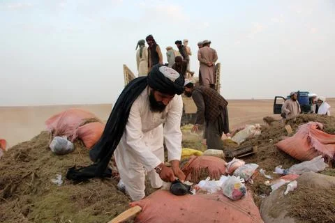 Afghan authorities destroy seized narcotics in Kandahar, Afghanistan - 20 Jul 20 Stock Photos