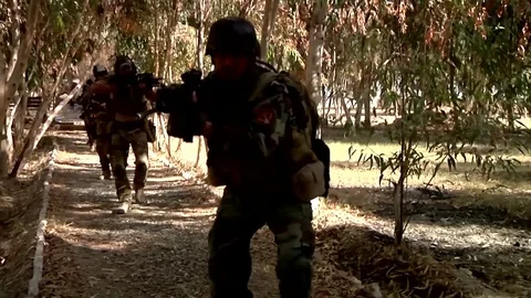 Afghan National Army Commandos patrolling amongst trees Stock Footage 84010517
