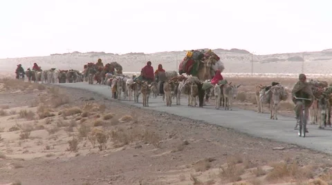 Afghan nomads Stock Footage 47648581