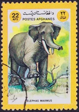 Afghan Postage Stamp Featuring Asian Elephant Stock Photos