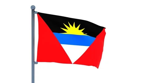 Afghanistan Flag Stock Footage 150195033