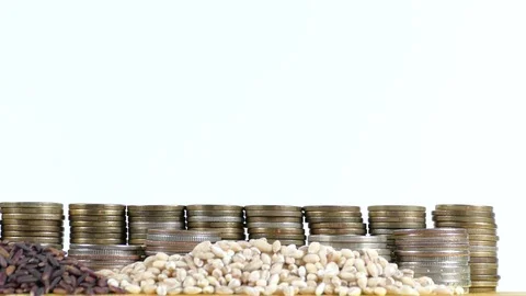Afghanistan flag with stack of money coins and piles of wheat and rice seeds Stock Footage 71133146