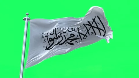 Afghanistan Flag Waving in Loopable and Textured green screen background Stock Footage 297281286