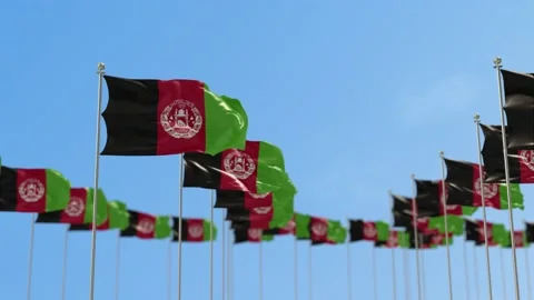 Afghanistan Row Of Flags Animation Stock-Footage 148611879