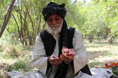 Afghanistan's pomegranate exports decrease due to drought, Kandahar - 04 Oct 202 Stockfoto's