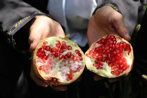 Afghanistan's pomegranate exports decrease due to drought, Kandahar - 04 Oct 202 Stock Photos