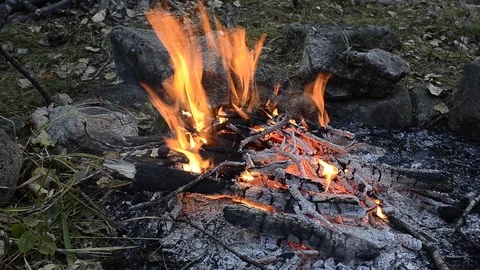 Aflame bonfire Video stock 102036184